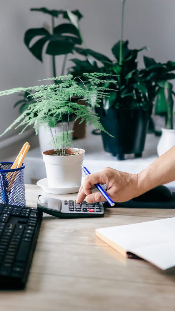 accountant for small business